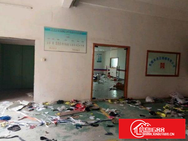 东莞石排铺心独院一楼2000平方出租