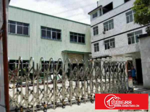 高埗独院单一层超靓厂房2000平方急租滴水高度为6.5米水电