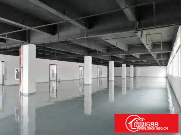 大朗沙步出租精装修厂房1000平，200平起分，装修九成新