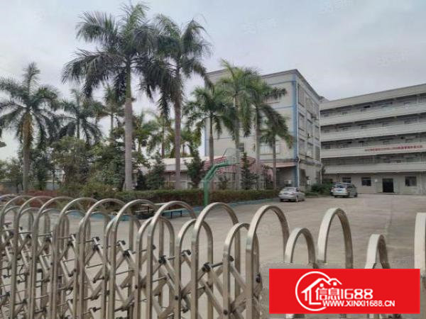 东莞桥头原房东红本独门独院花园式高速路口旁独立办公宿舍单一层