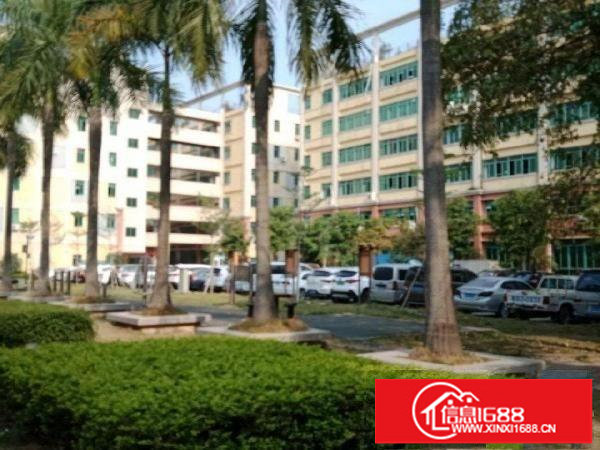 丹竹头150-400平方米厂房带球场