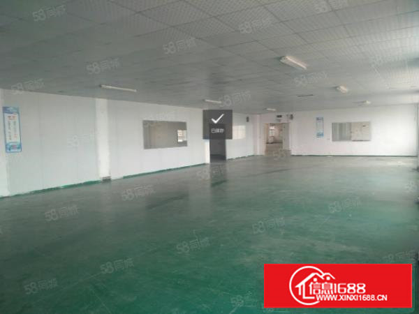 塘厦龙背岭新出租标准厂房4800平,现成装修近高速,香港房东