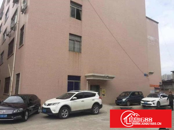 新出原房东带（红本厂房）总面积20300平米出租