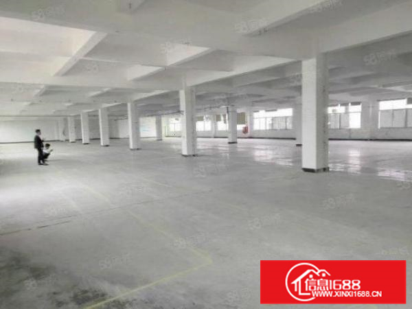 勒流富安新出标准1楼1200方带办公水电气全租金便宜