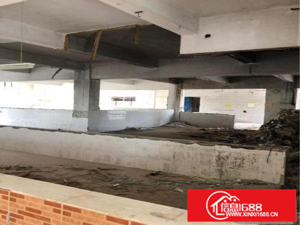 坪山石井沈海高速旁新出3000平独院厂房