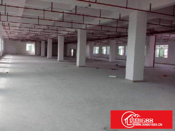 桥头新出独门独院厂房2300平米空地超大价格低