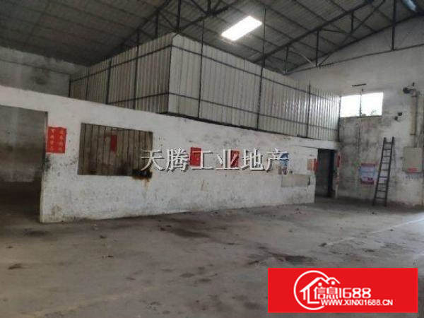 方正实用星棚结构首层带有空地容桂高黎工业区厂房出租