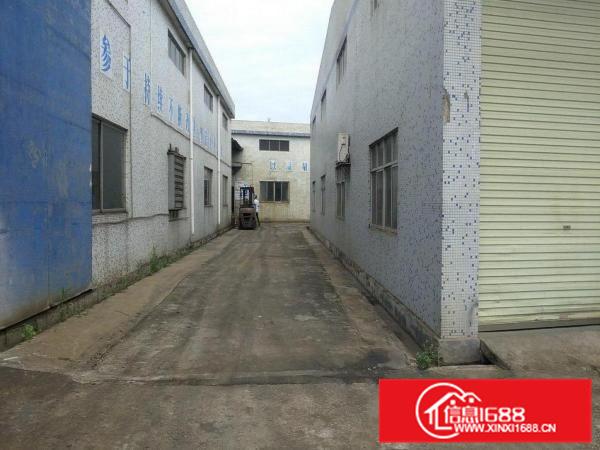 惠州新圩村委独院标准厂房出租