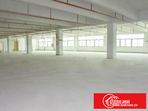 公明标准厂房一楼800平出租，适合物流电商仓储各行业
