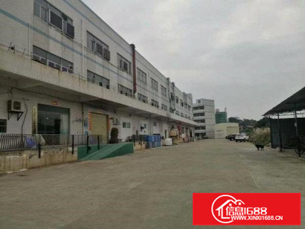 大岭山厚大路边新出楼上2600平厂房水电到位可办环评价格漂亮