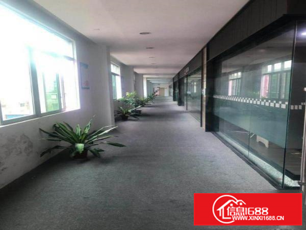 出租坪山新区坪山