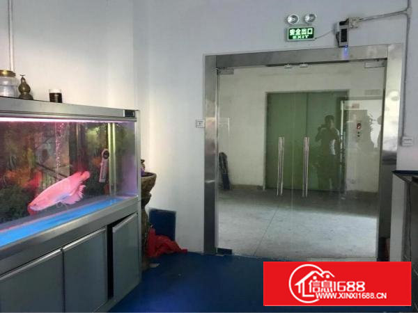 西乡固戍航城大道516平厂房