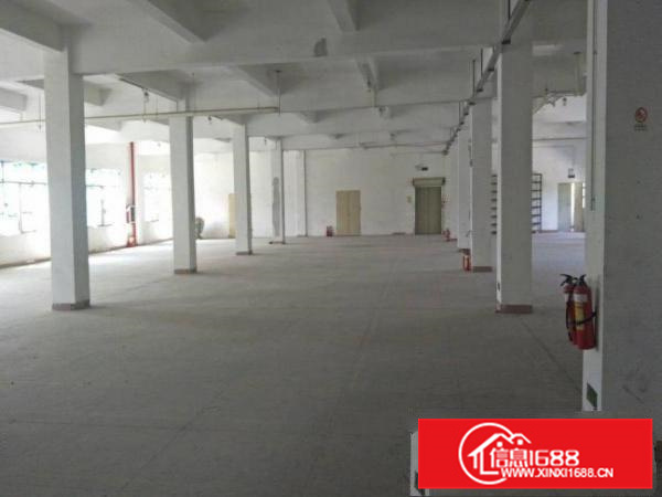 惠阳秋长4600平带装修独院厂房出租空间超大可分租