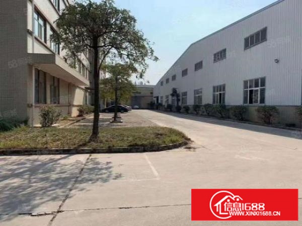 万江砖墙到顶单一层独院1000平方原房东出租