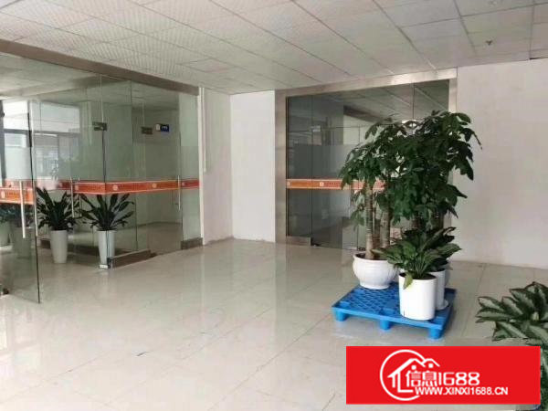 清溪三中原房东独院厂房11000平方带装修急租