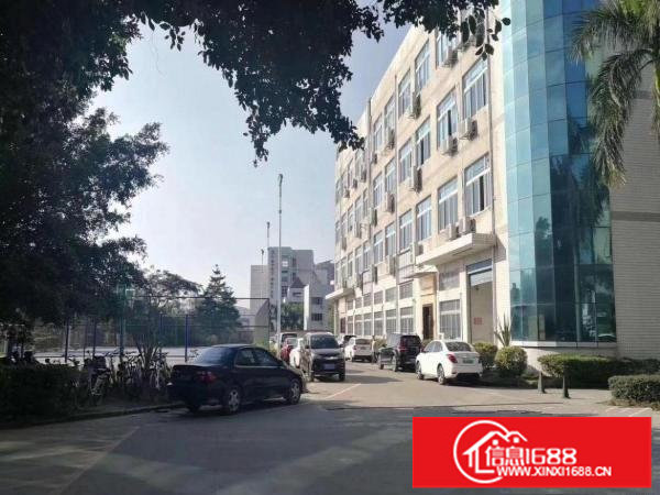 布吉丹竹头新出一楼厂房一千五百平可分租