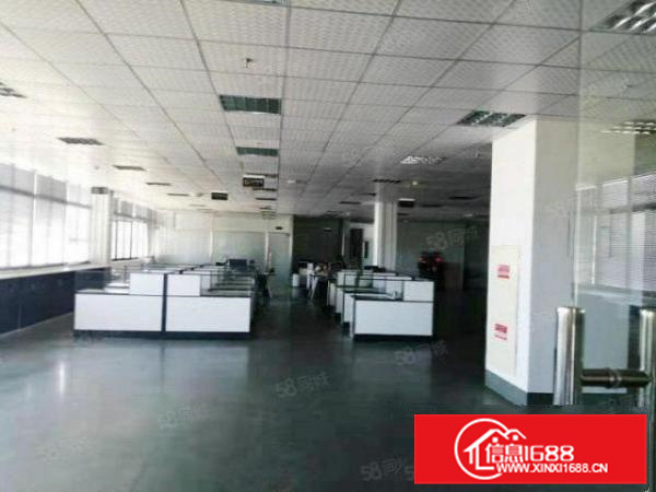 独门独院带现成办公，龙江工业区5000方标准厂房带地坪漆展厅