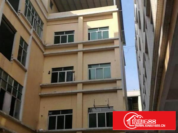 万江简沙洲独门独院标准厂房4层5000平方出租