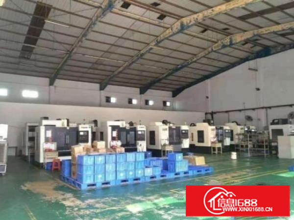 丹灶石联冯村1000平厂房招租，带办公室，过环评