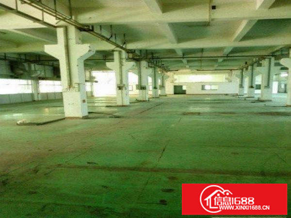 急租！观澜桂花新出标准整层一楼1380平方厂房出租