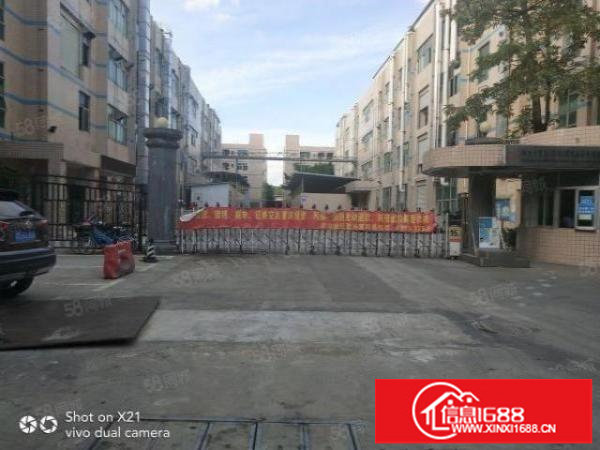 平湖华南城标准厂房招租，一楼，二楼各900平米三楼600平米