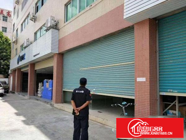 一楼！龙华大浪新出一楼240平价格美丽