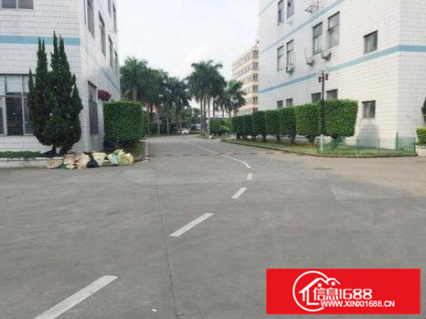 新生路边原房东楼上带装修1000平厂房出租分租