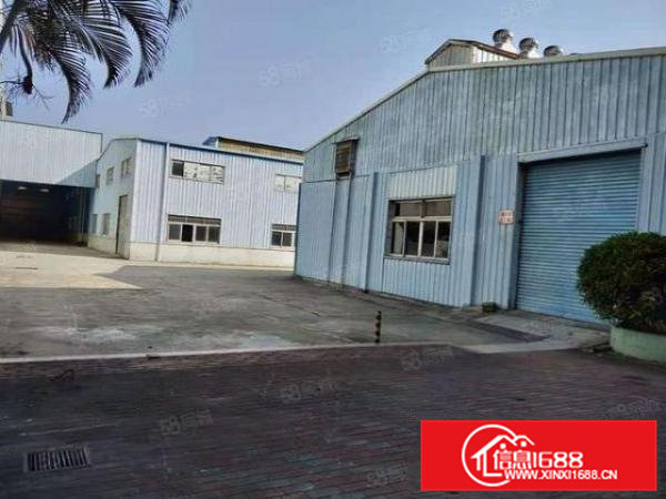 原房东单一层经典独院出租，高度7.5米，带消防喷淋