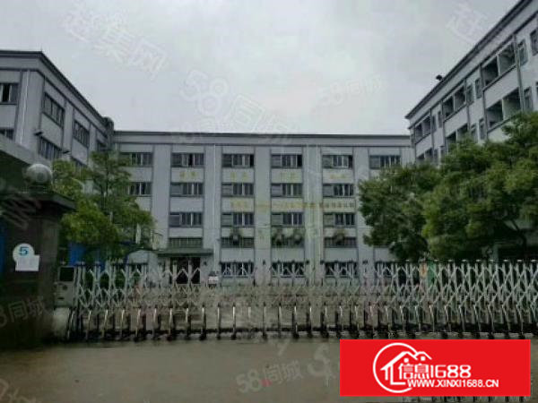 大朗水口工业区新出一楼无公摊800方招租形象好位置佳