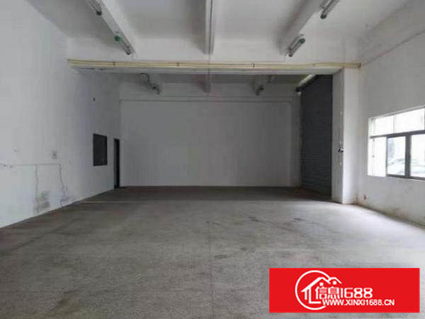 大康村一楼560平厂房出租，空地大