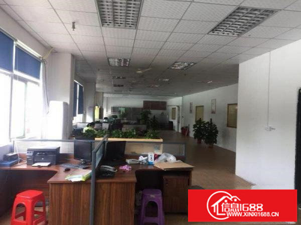 坂田上雪科技园800平方带装修厂房出租，可分租