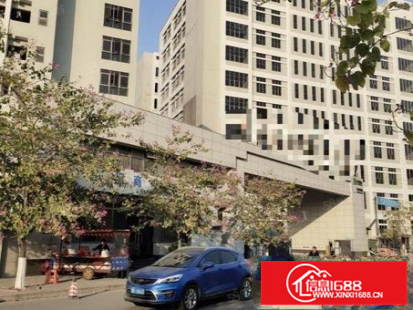 东坑镇原房东自建厂房，双证齐全，上市公司！总面积15万平