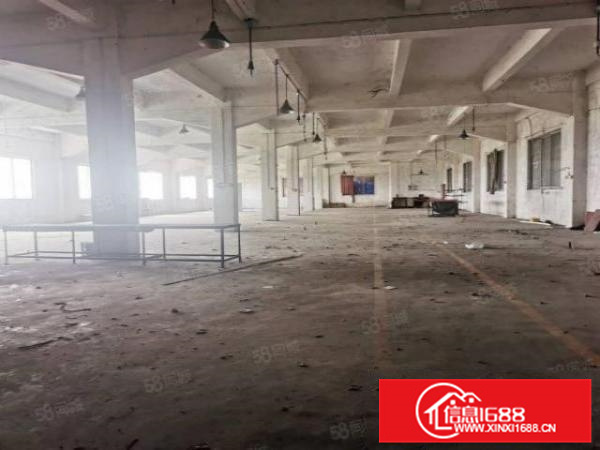 不拆迁杏坛标准一至三楼3200方可办环评低价13元火热出租