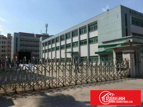 大朗新出红本标准独院厂房5500平方一楼6.5米高