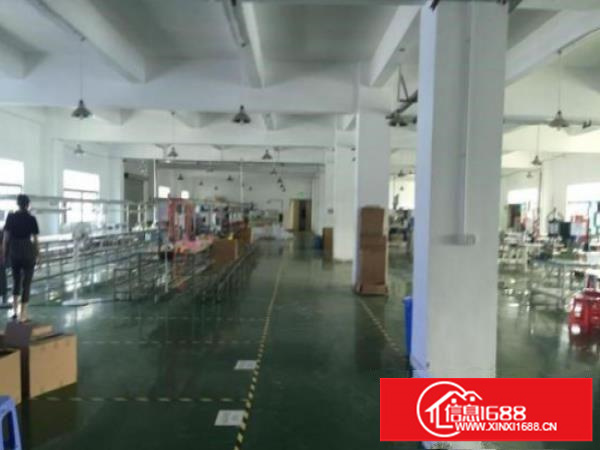 龙岗同乐新出独院一楼580平出租高5米