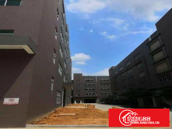 带消防！惠阳三和全新工业园招租！