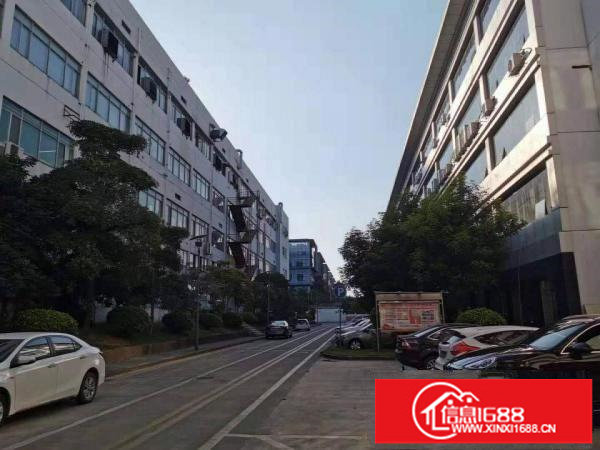 龙岗宝龙科技园全新百万级无尘车间厂房出租