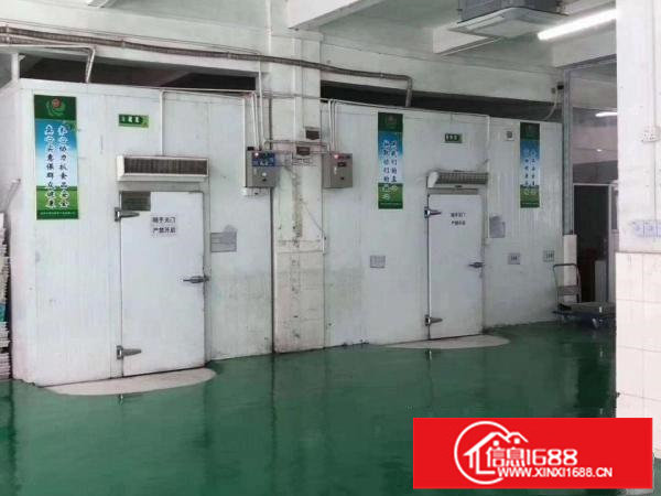 平湖白泥坑经典厂房，冷库出租信息汇460平方起租