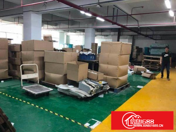 精装修刷地坪漆厂房出租凤岗金凤凰楼上1600平