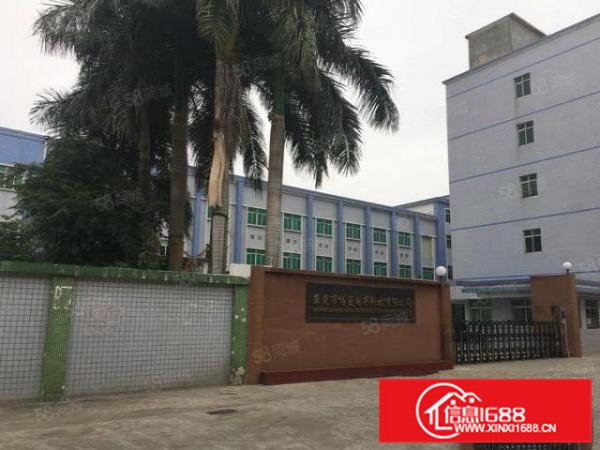 虎门可办环评一楼500平二楼900平带办公室装修厂房分租