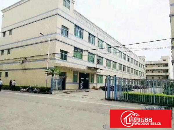惠阳新圩标准独栋厂房3000平带电梯地坪漆可分租