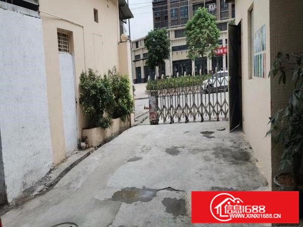 独门独院分租，带环评消防排污分流，停车方便，出货方便，形象好