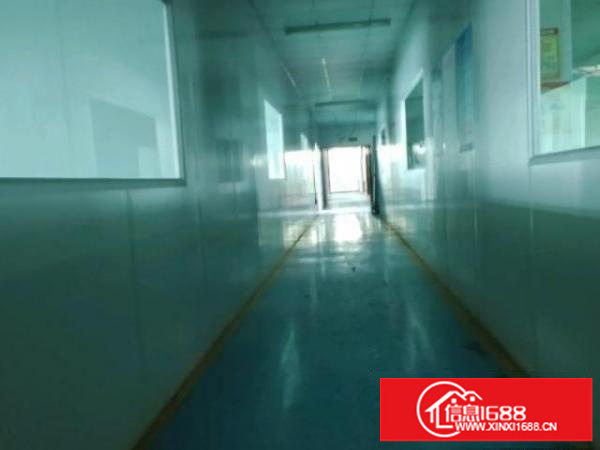 坪地全新地坪漆标准厂房