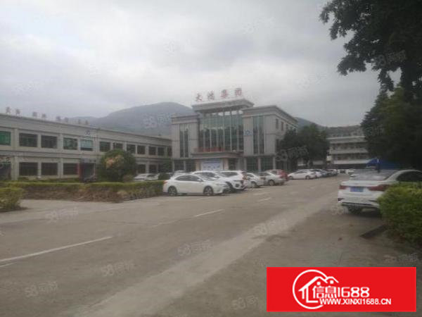 清溪镇主路边新出花园式原房东楼上2000平带装修