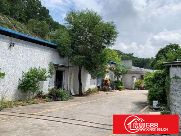 观澜牛湖.滴水7米700平方钢构.物流配送园分租小面积