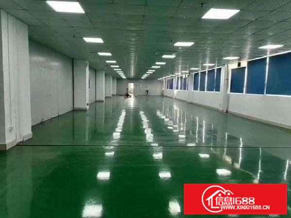 凤岗雁田原房东全新无尘车间5600平直租