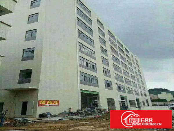 坪地龙岗大道边上新出标准厂房2300平米