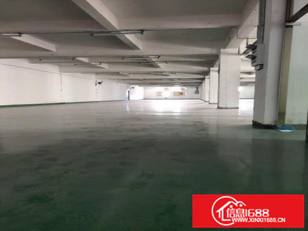 布吉坂李大道上李朗200平500平1000平2000平出租