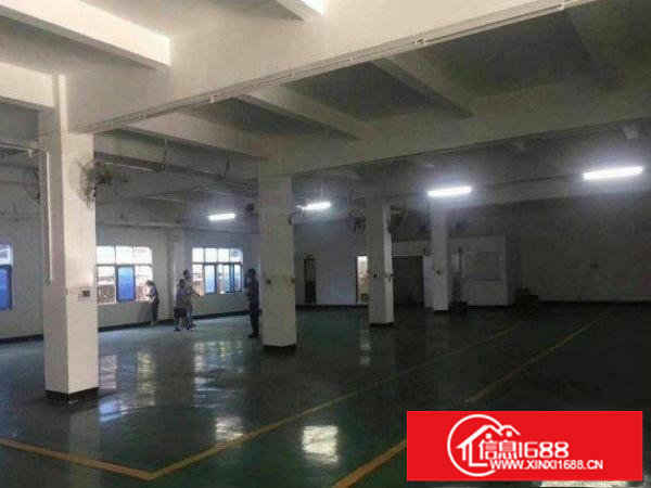 平湖新木村委一楼厂房500平方米超靓办公装修招租