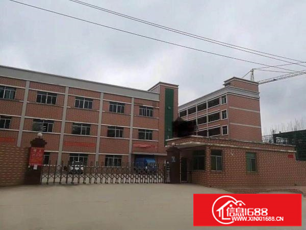 惠阳全新独院厂房带红本房产证招租